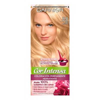 Tintura Cor Intensa Garnier N90