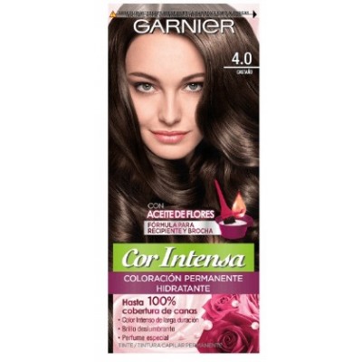 Tintura Cor Intensa Garnier N4.0