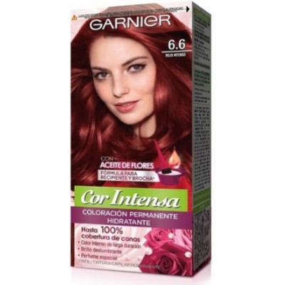 Tintura Cor Intensa Garnier N 6.6