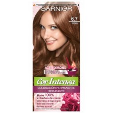 Tintura Cor Intensa Garnier N6.7