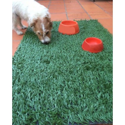 Alfombra Sintetico Pasto Base De Goma Apto Mascota 